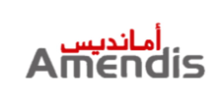 amendis